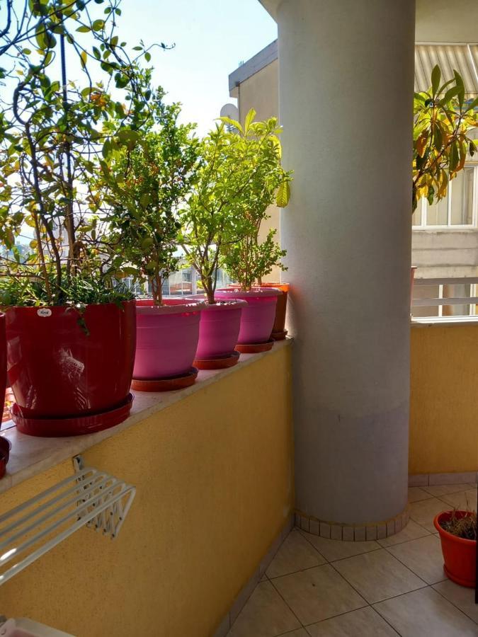 Holiday Center Apartment Shkodra Kültér fotó